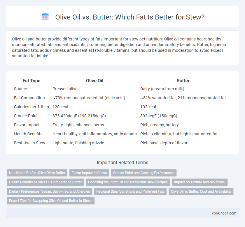 Olive Oil vs. Butter: Which Fat Is Better for Stew?