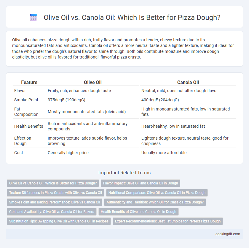 Olive Oil vs. Canola Oil: Which Is Better for Pizza Dough?