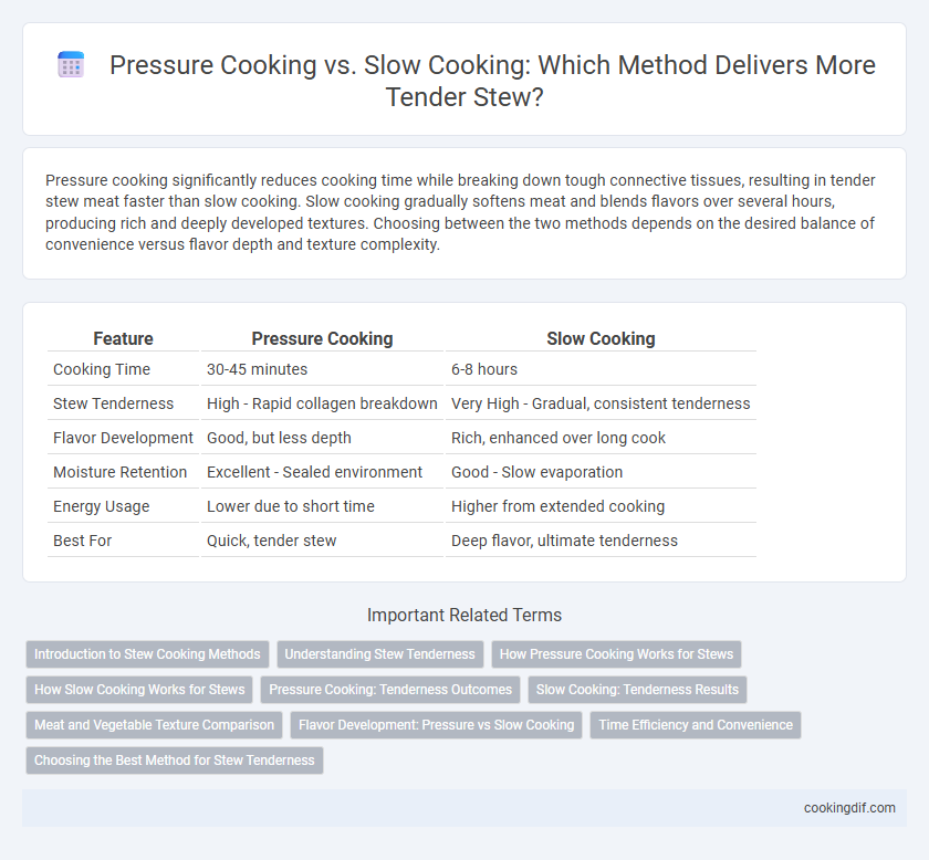 Pressure Cooking vs. Slow Cooking: Which Method Delivers More Tender Stew?