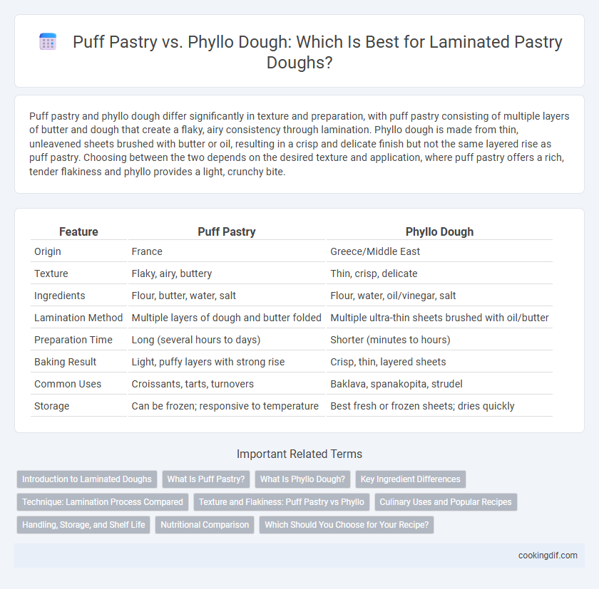 Puff Pastry vs. Phyllo Dough: Which Is Best for Laminated Pastry Doughs?
