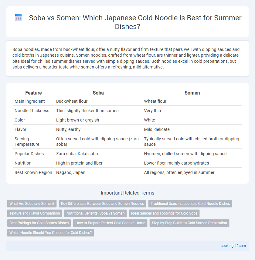 Soba vs Somen: Which Japanese Cold Noodle is Best for Summer Dishes?