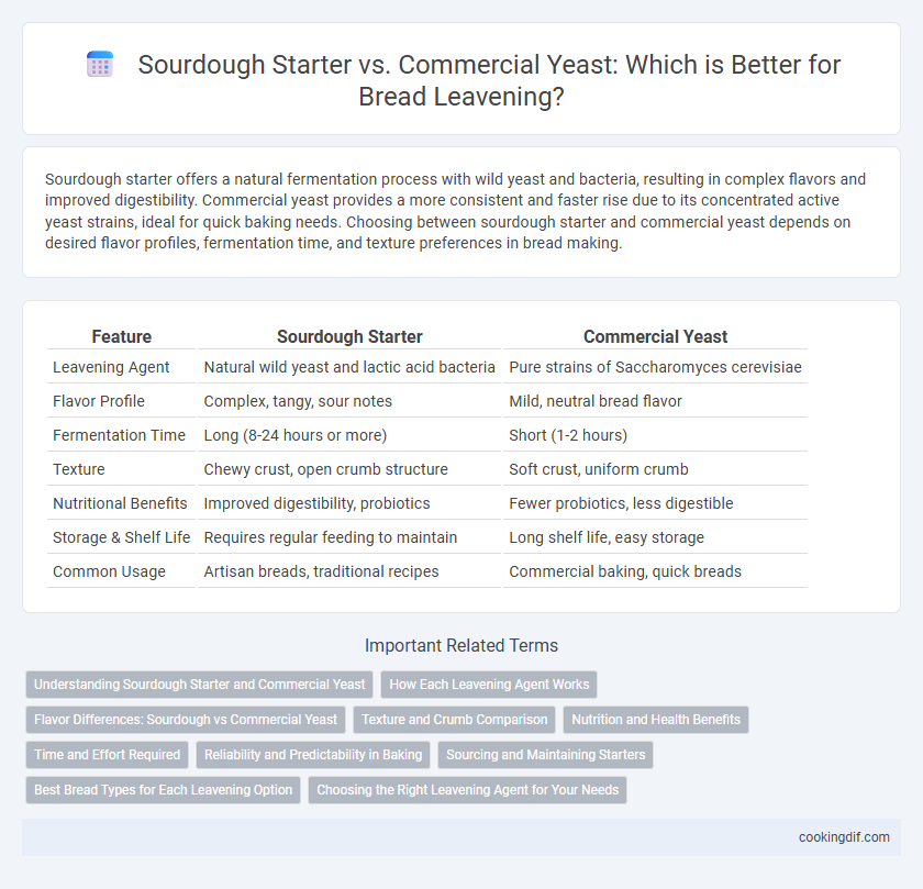 Sourdough Starter vs. Commercial Yeast: Which is Better for Bread Leavening?