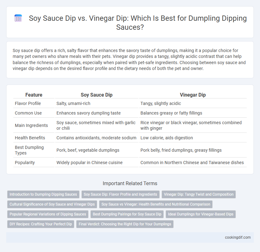 Soy Sauce Dip vs. Vinegar Dip: Which Is Best for Dumpling Dipping Sauces?