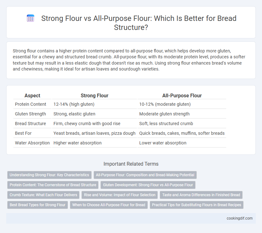 Strong Flour vs All-Purpose Flour: Which Is Better for Bread Structure?
