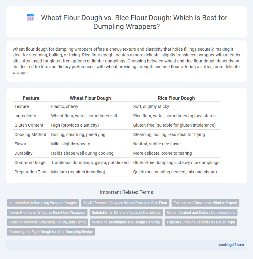 Wheat Flour Dough vs. Rice Flour Dough: Which is Best for Dumpling Wrappers?