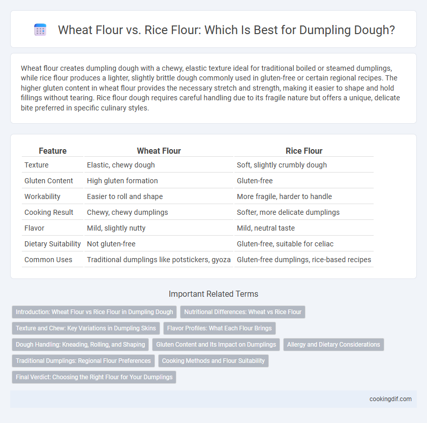 Wheat Flour vs. Rice Flour: Which Is Best for Dumpling Dough?