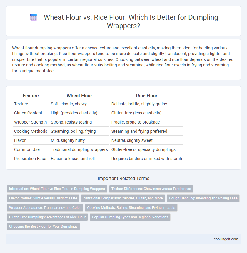 Wheat Flour vs. Rice Flour: Which Is Better for Dumpling Wrappers?