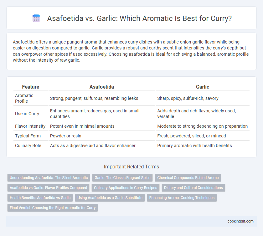 Asafoetida vs. Garlic: Which Aromatic Is Best for Curry?