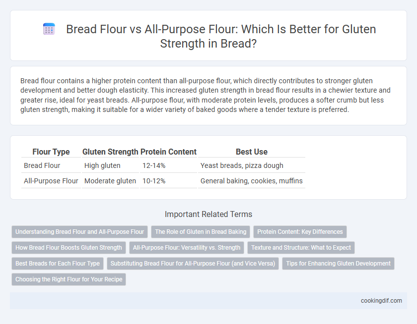 Bread Flour vs All-Purpose Flour: Which Is Better for Gluten Strength in Bread?