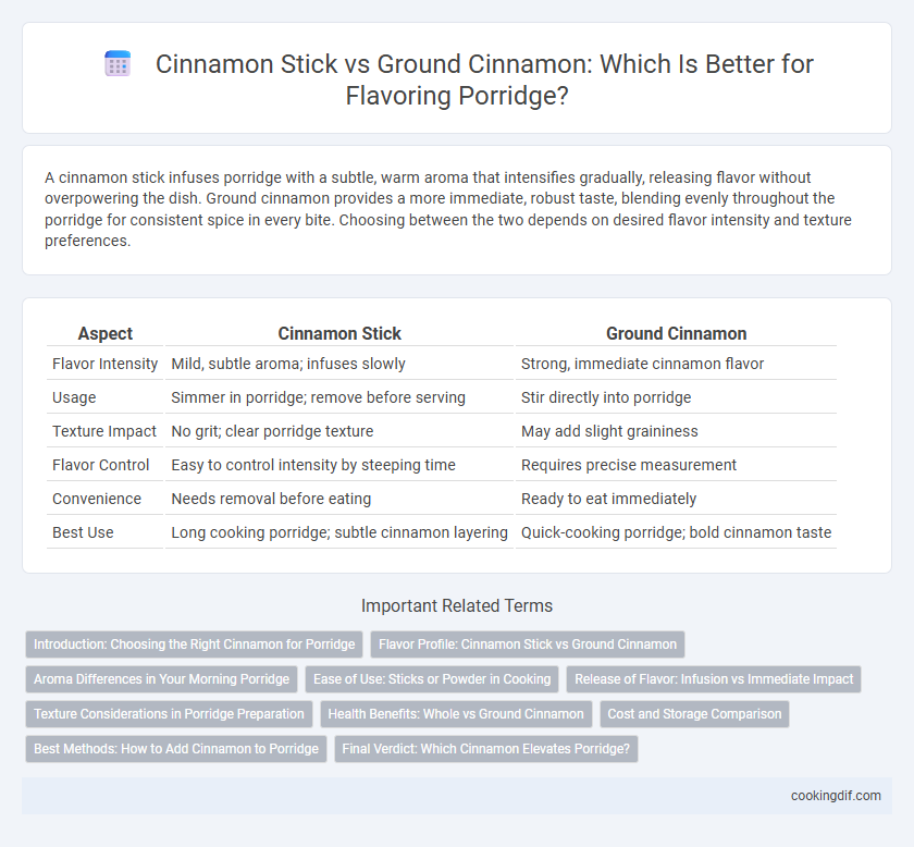Cinnamon Stick vs Ground Cinnamon: Which Is Better for Flavoring Porridge?