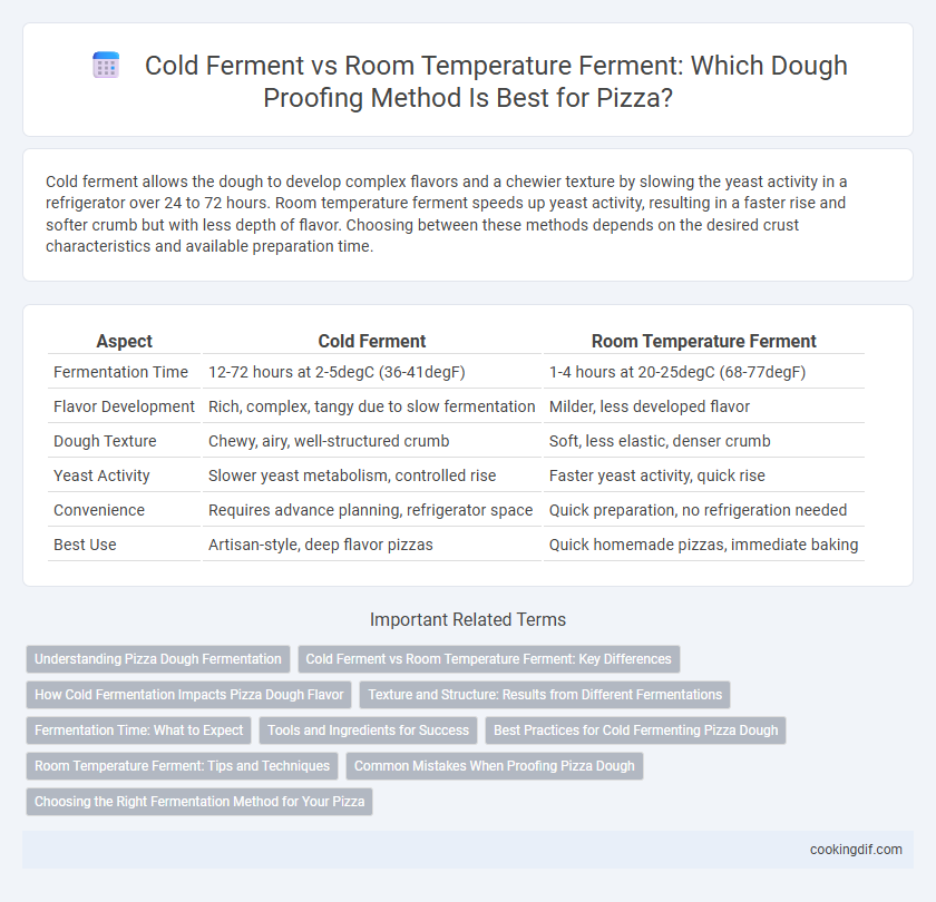 Cold Ferment vs Room Temperature Ferment: Which Dough Proofing Method Is Best for Pizza?