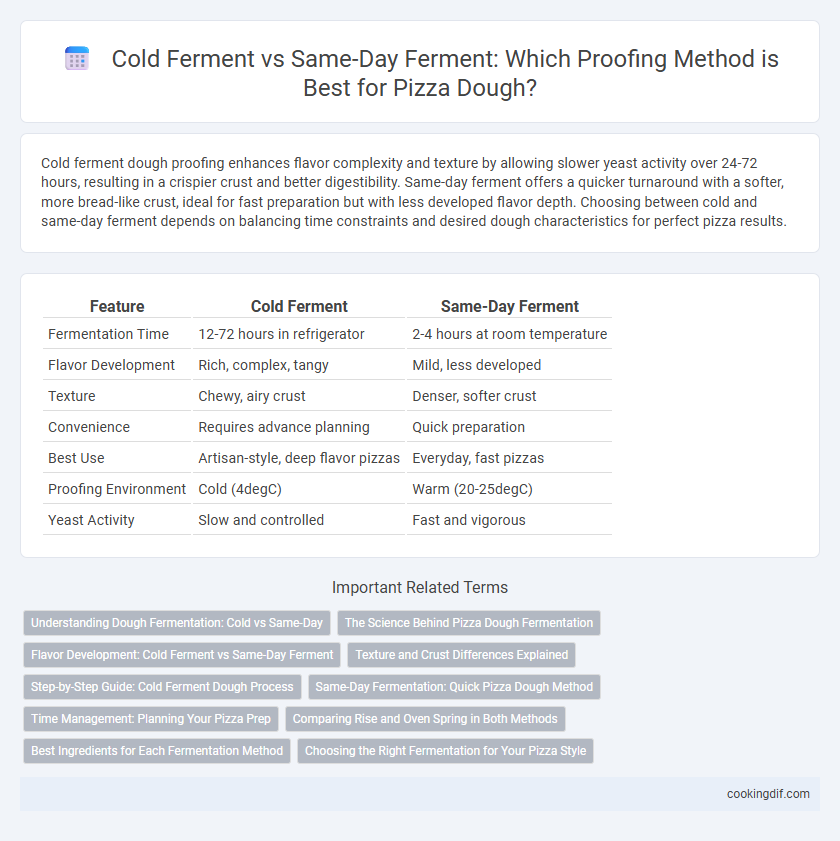 Cold Ferment vs Same-Day Ferment: Which Proofing Method is Best for Pizza Dough?