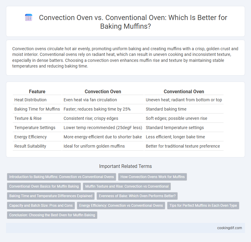 Convection Oven vs. Conventional Oven: Which Is Better for Baking Muffins?