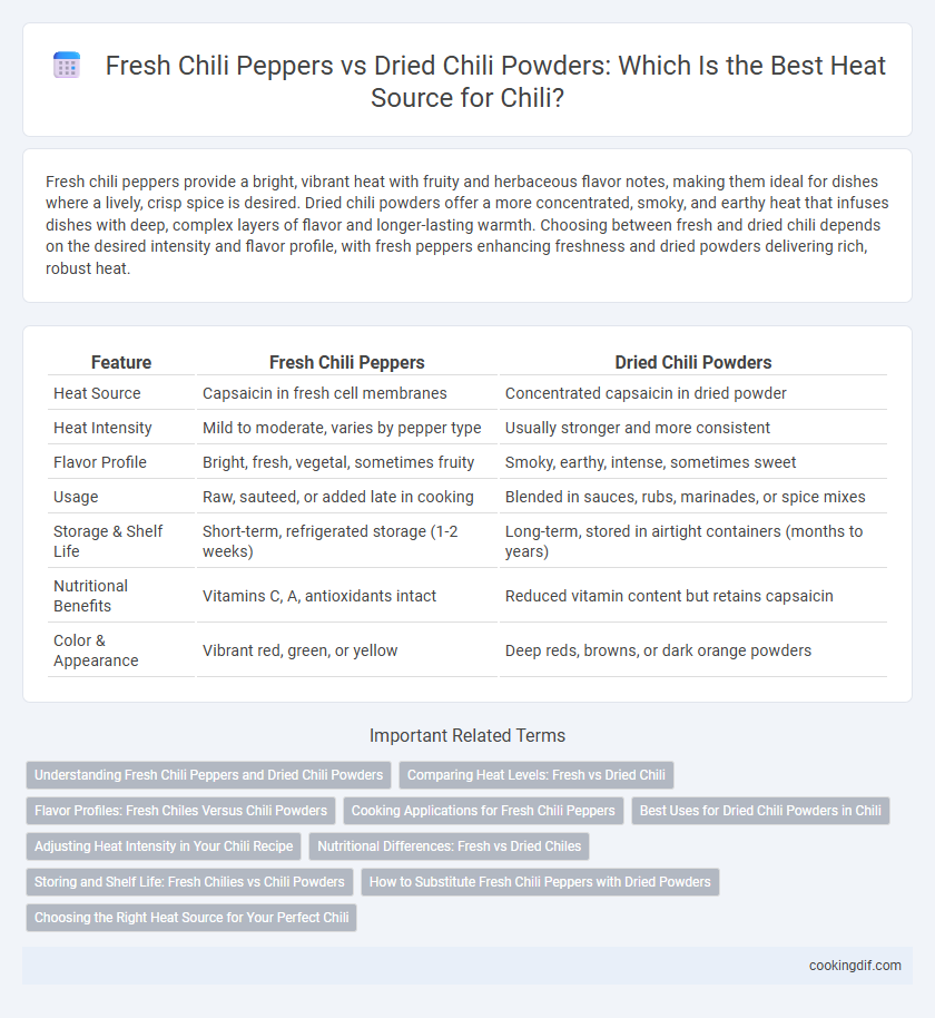 Fresh Chili Peppers vs Dried Chili Powders: Which Is the Best Heat Source for Chili?