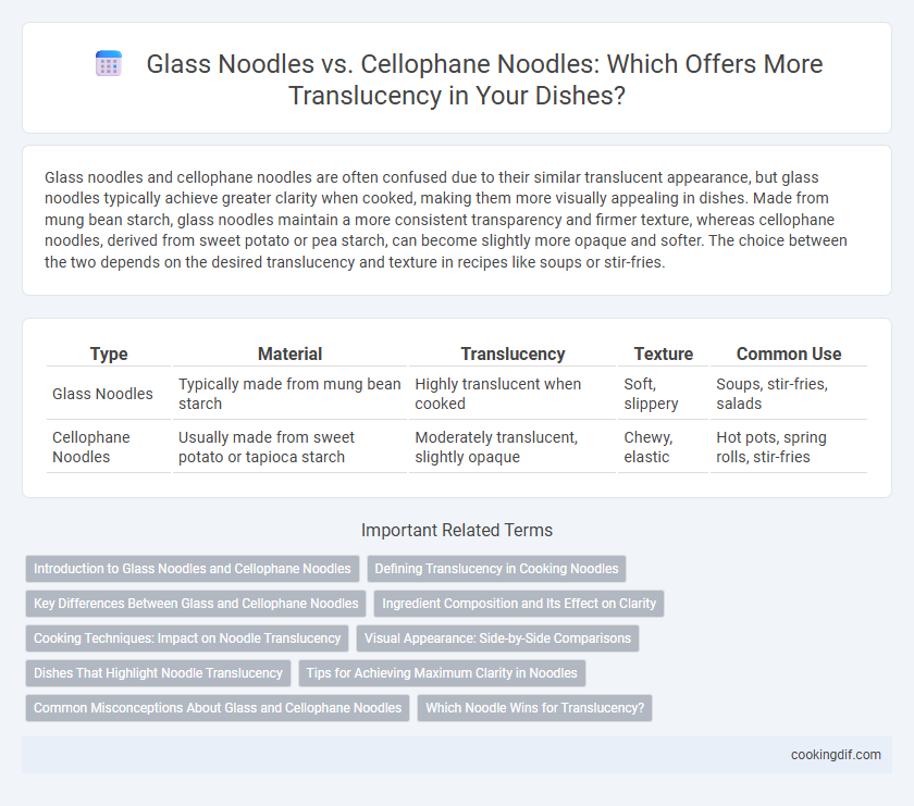 Glass Noodles vs. Cellophane Noodles: Which Offers More Translucency in Your Dishes?