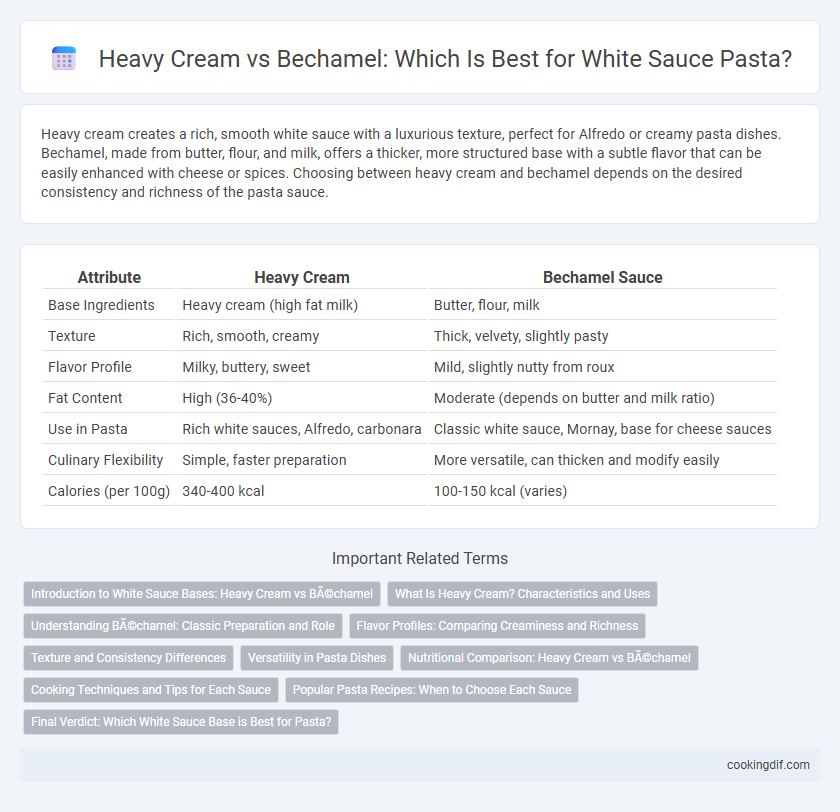 Heavy Cream vs Bechamel: Which Is Best for White Sauce Pasta?