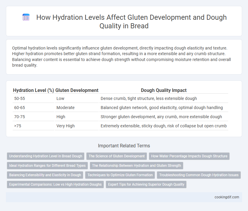 How Hydration Levels Affect Gluten Development and Dough Quality in Bread