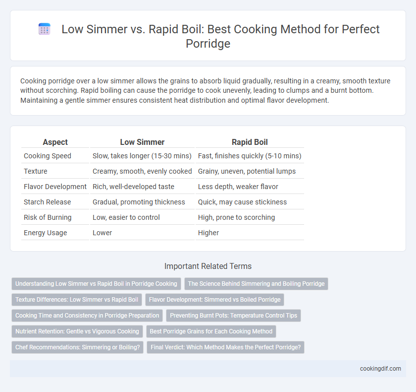 Low Simmer vs. Rapid Boil: Best Cooking Method for Perfect Porridge