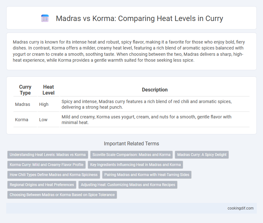 Madras vs Korma: Comparing Heat Levels in Curry