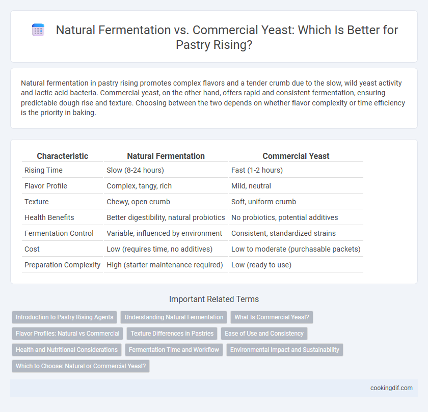 Natural Fermentation vs. Commercial Yeast: Which Is Better for Pastry Rising?