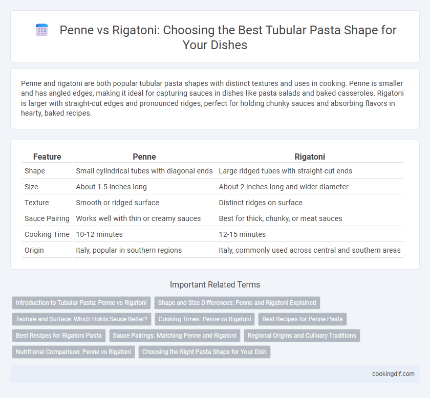 Penne vs Rigatoni: Choosing the Best Tubular Pasta Shape for Your Dishes