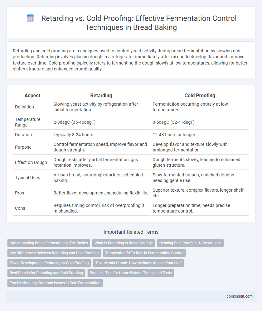 Retarding vs. Cold Proofing: Effective Fermentation Control Techniques in Bread Baking