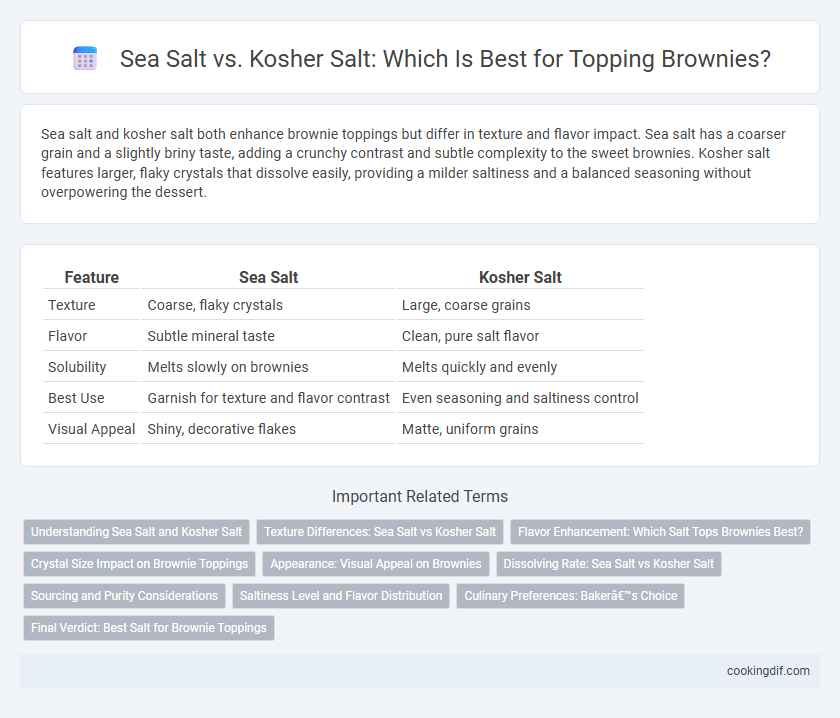 Sea Salt vs. Kosher Salt: Which Is Best for Topping Brownies?