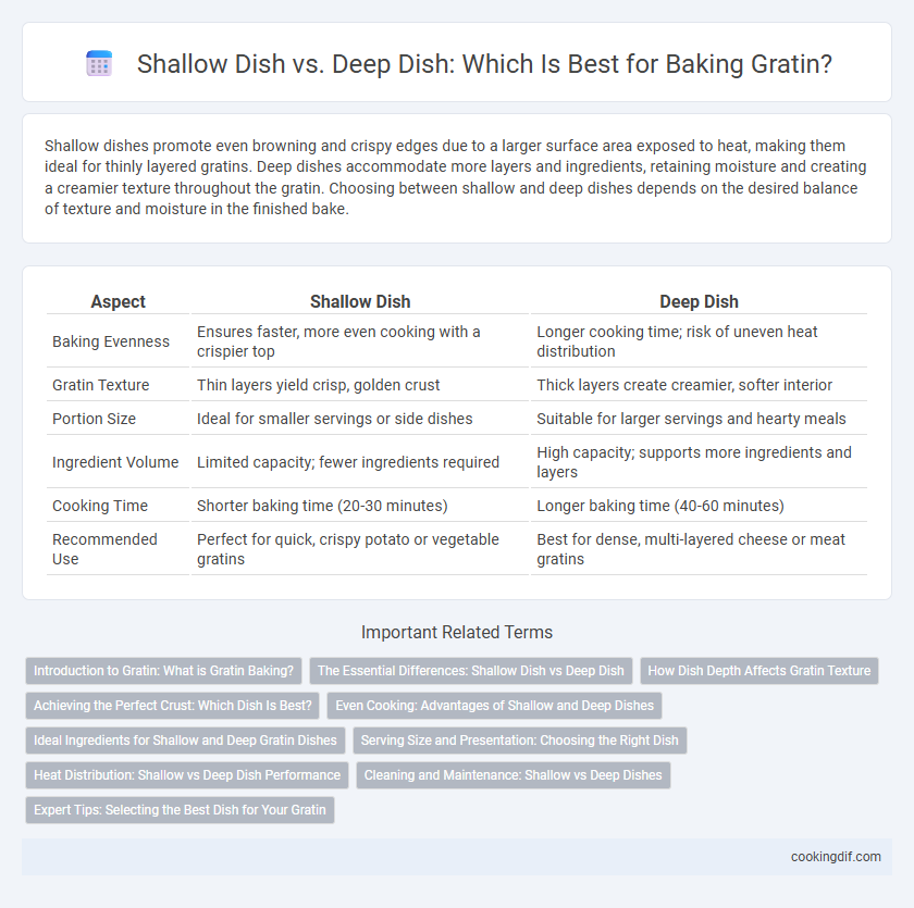 Shallow Dish vs. Deep Dish: Which Is Best for Baking Gratin?