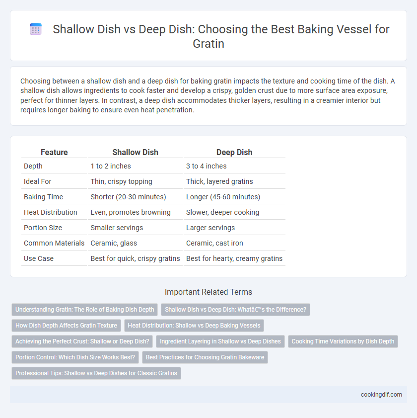 Shallow Dish vs Deep Dish: Choosing the Best Baking Vessel for Gratin