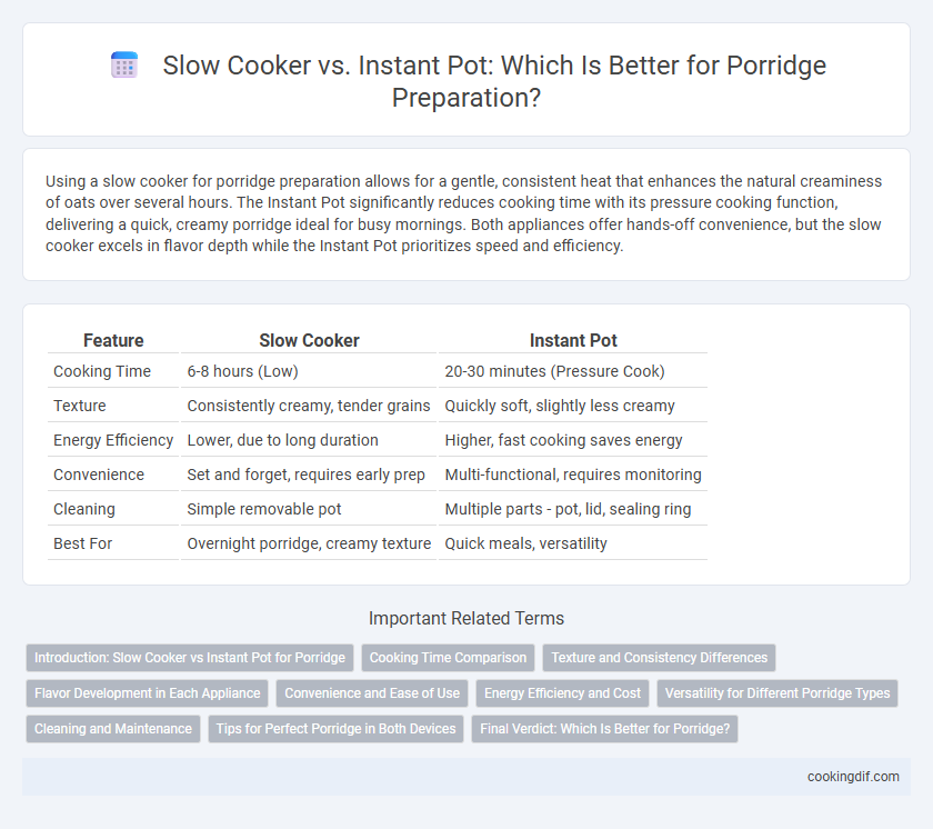 Slow Cooker vs. Instant Pot: Which Is Better for Porridge Preparation?