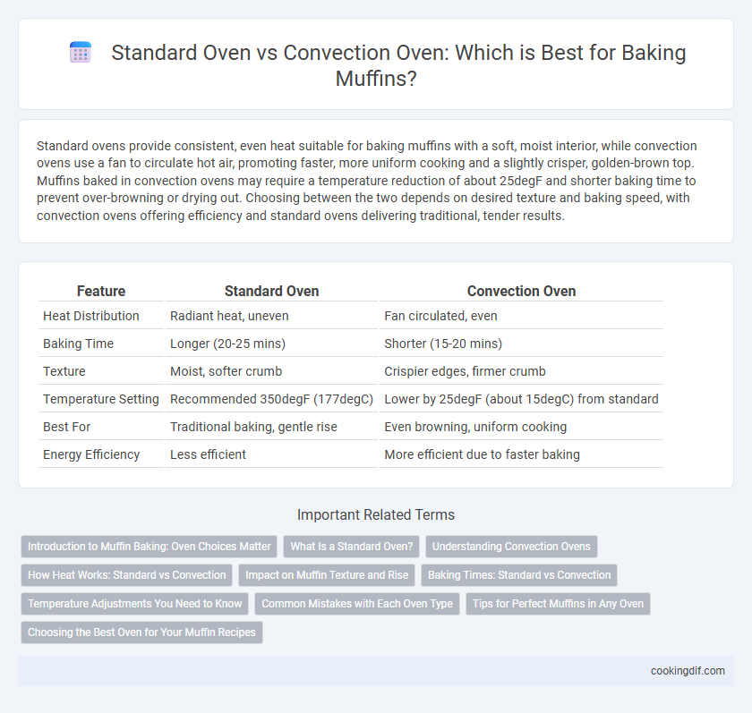 Standard Oven vs Convection Oven: Which is Best for Baking Muffins?