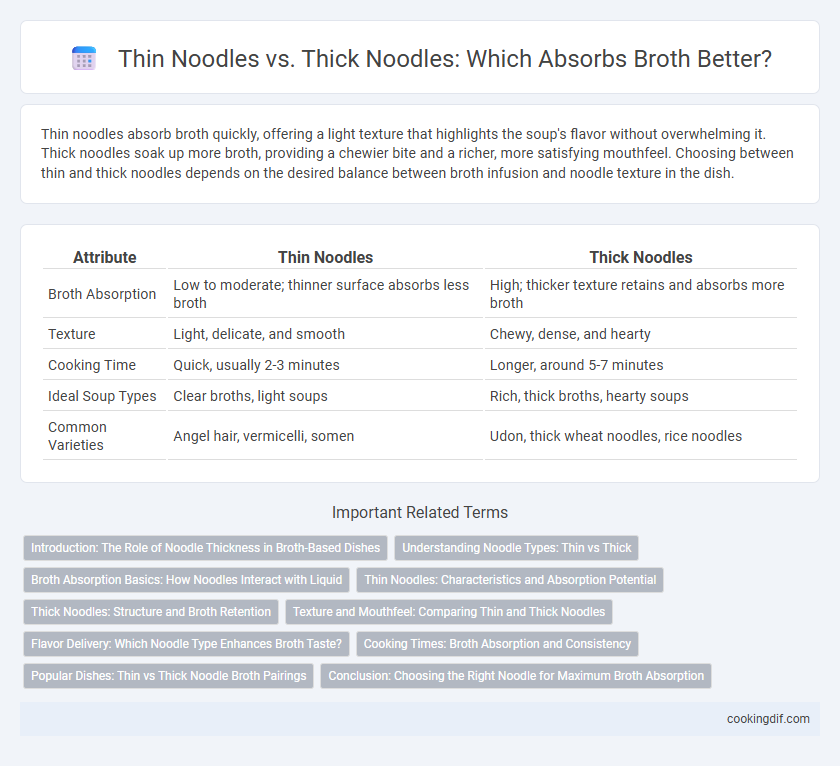 Thin Noodles vs. Thick Noodles: Which Absorbs Broth Better?