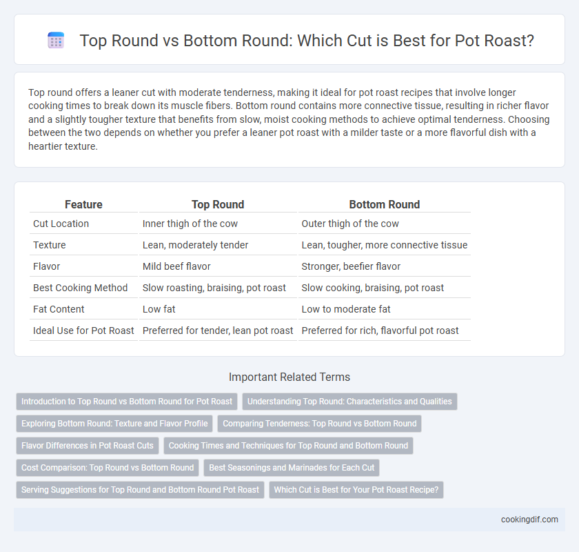 Top Round vs Bottom Round: Which Cut is Best for Pot Roast?