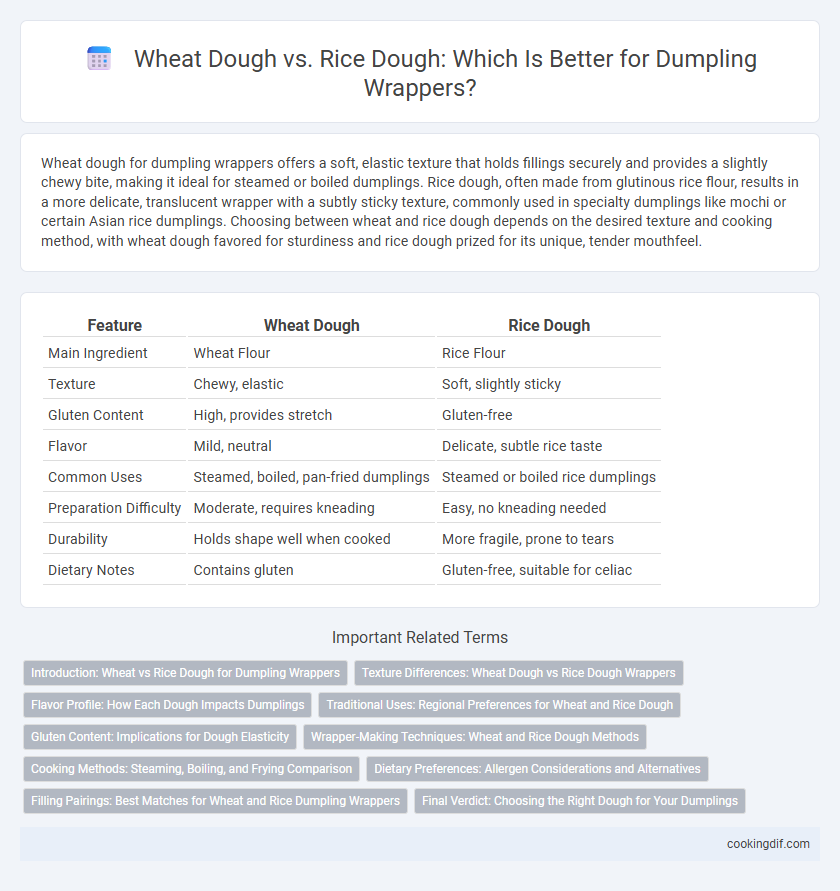 Wheat Dough vs. Rice Dough: Which Is Better for Dumpling Wrappers?