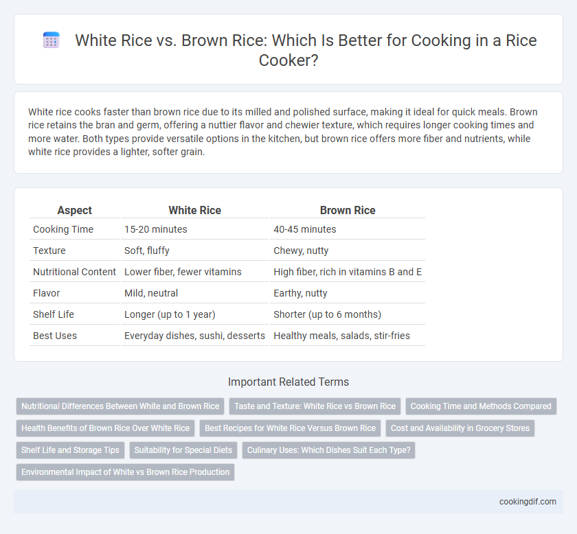 White Rice vs. Brown Rice: Which Is Better for Cooking in a Rice Cooker?