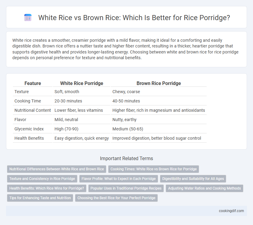 White Rice vs Brown Rice: Which Is Better for Rice Porridge?