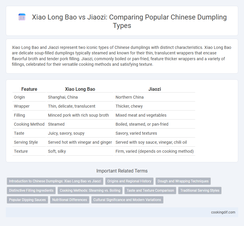 Xiao Long Bao vs Jiaozi: Comparing Popular Chinese Dumpling Types