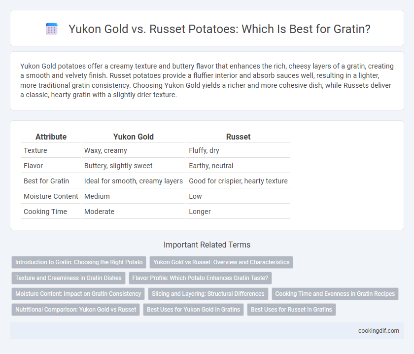 Yukon Gold vs. Russet Potatoes: Which Is Best for Gratin?