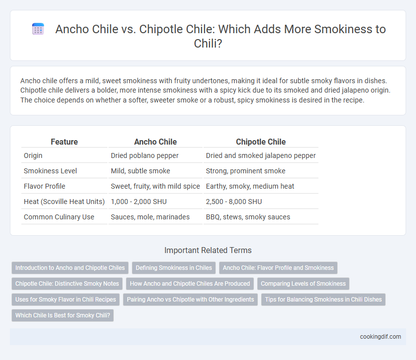 Ancho Chile vs. Chipotle Chile: Which Adds More Smokiness to Chili?