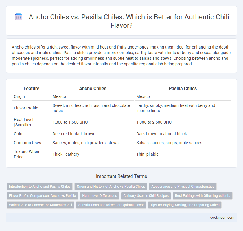 Ancho Chiles vs. Pasilla Chiles: Which is Better for Authentic Chili Flavor?