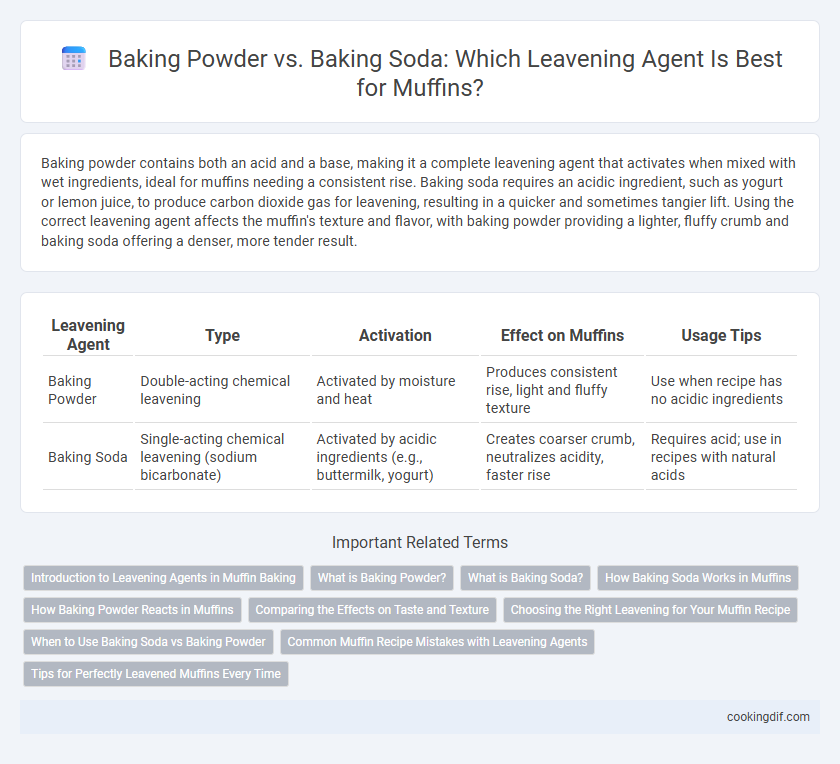 Baking Powder vs. Baking Soda: Which Leavening Agent Is Best for Muffins?