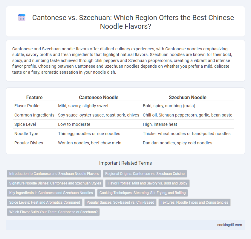 Cantonese vs. Szechuan: Which Region Offers the Best Chinese Noodle Flavors?