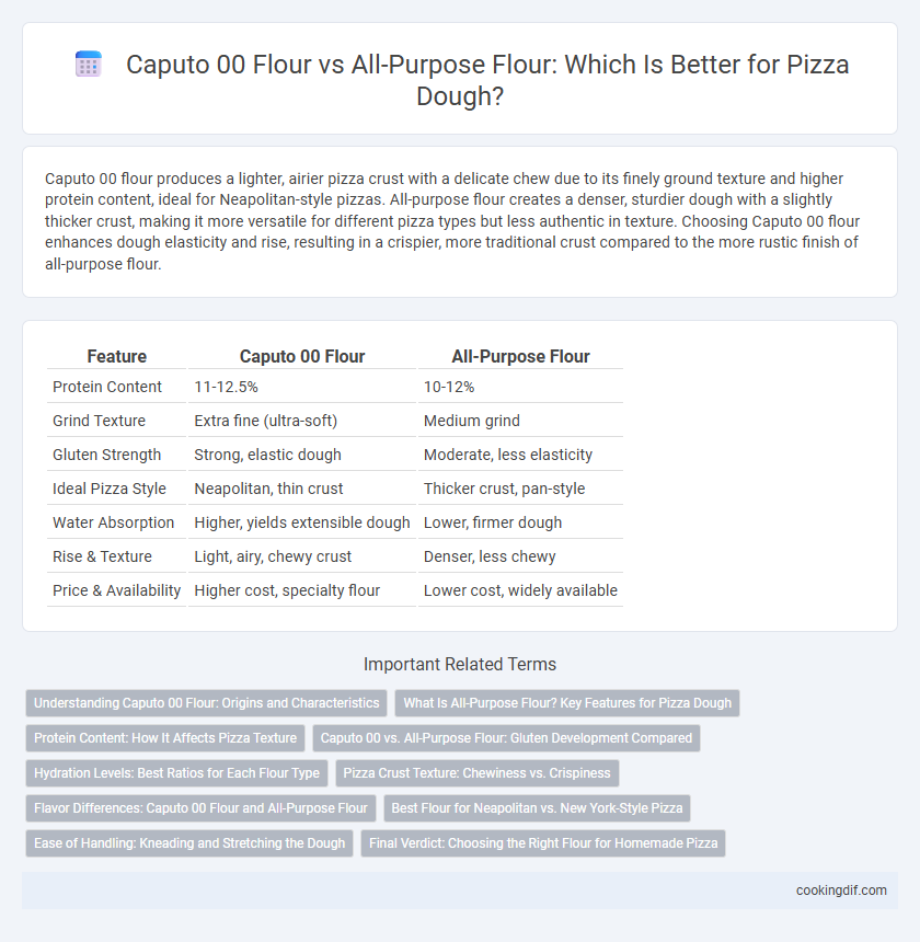 Caputo 00 Flour vs All-Purpose Flour: Which Is Better for Pizza Dough?