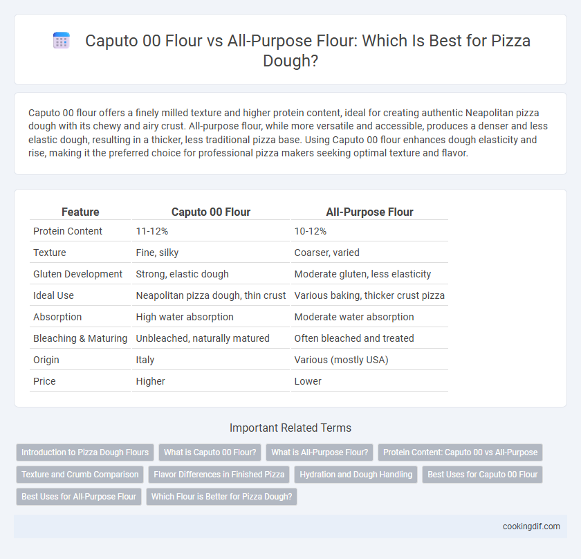 Caputo 00 Flour vs All-Purpose Flour: Which Is Best for Pizza Dough?