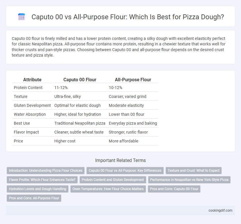 Caputo 00 vs All-Purpose Flour: Which Is Best for Pizza Dough?