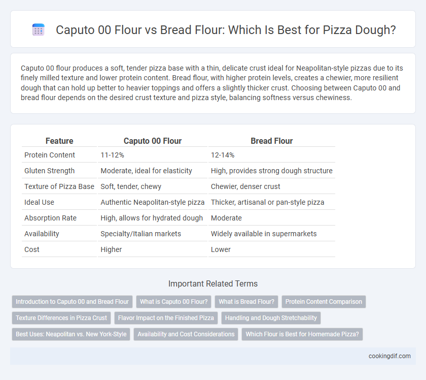 Caputo 00 Flour vs Bread Flour: Which Is Best for Pizza Dough?