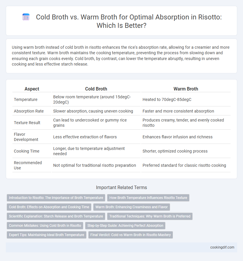 Cold Broth vs. Warm Broth for Optimal Absorption in Risotto: Which Is Better?