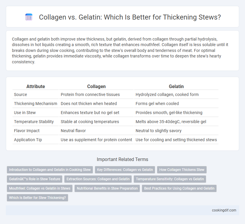 Collagen vs. Gelatin: Which Is Better for Thickening Stews?