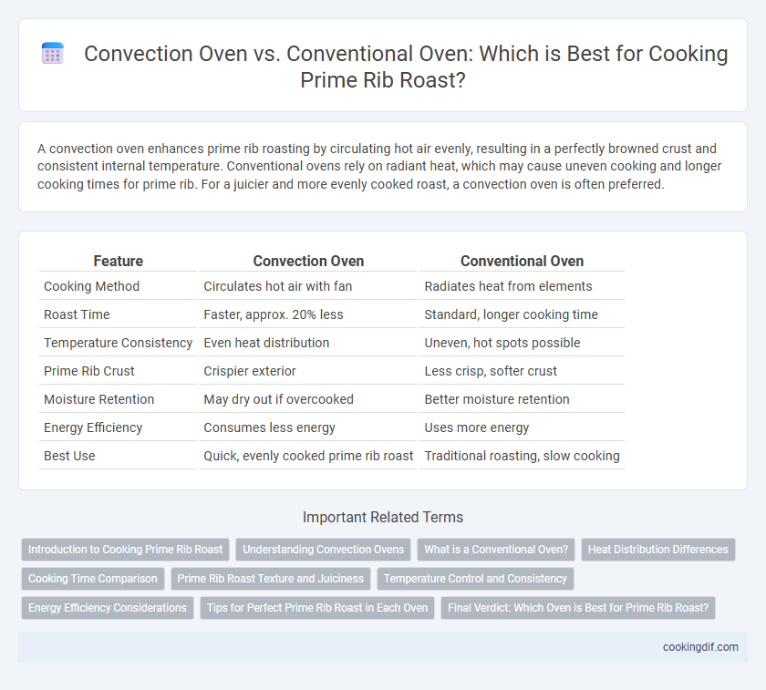 Convection Oven vs. Conventional Oven: Which is Best for Cooking Prime Rib Roast?