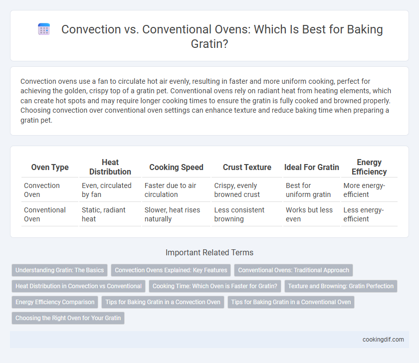 Convection vs. Conventional Ovens: Which Is Best for Baking Gratin?